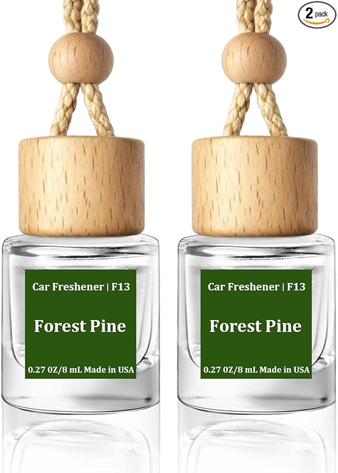 HoogaLife Car Air Freshener Diffuser 2 Pack Hanging Air Freshener Diffuser by HoogaLife