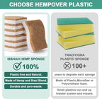 12Pack Natural Kitchen Sponge, Biodegradable Cellulose and Coconut Scrubber - Image 3