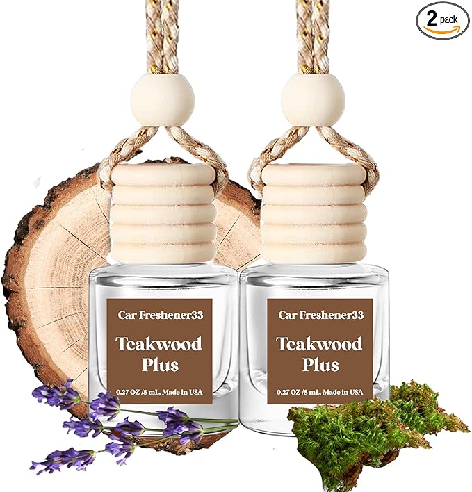 Car Air Freshener Hanging, Cute Air Diffuser by BurstBird