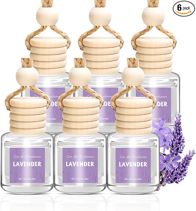 AROIC Car Air Freshener Diffuser Set, 6 Pack Lavender Natural Slow-Release by AROIC