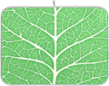 Green Leaf Veins Dish Drying Mat by BOENLE-WELCOMEYOURCOMING