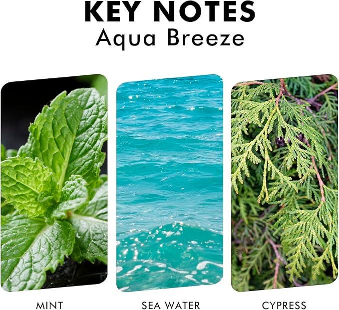 Reed Diffuser Set, Aqua Breeze Scented Oil Diffuser - Image 3