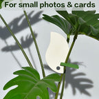 LWR CRAFTS Wooden Mini Clothespins 100 Per Pack 1" 2.5cm - Image 5