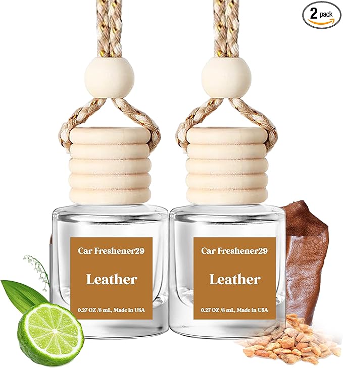 Car Air Freshener Hanging, Cute Air Diffuser by BurstBird