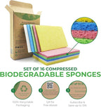 Compressed Cellulose Sponges - Image 3