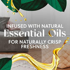 Air Wick Plug In Scented Oil Refill, Infused - Image 5