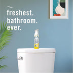 Febreze Air Mist Air Freshener Spray, Odor-Fighting Room Spray, Air Fresheners - Image 7