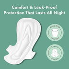 Rael Pads for Women, Organic Cotton Cover - Image 2