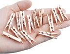 Jdesun 50 Pieces Photo Clips, Mini Plastic Picture Paper Clip Clothespins Peg - Image 5