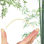 Eyxformula 200 Pcs 6 Inch Long Cotton Swabs - Image 4