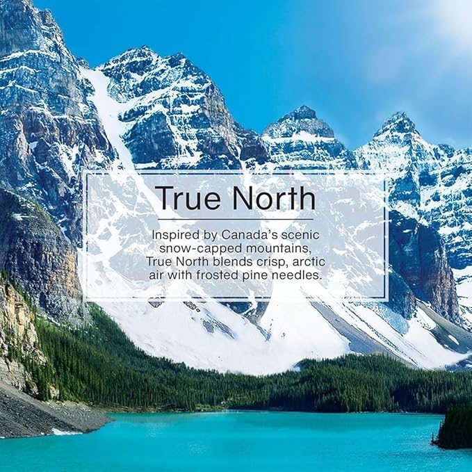 Little Trees Air Fresheners, True North - Image 5