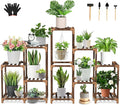 Uneedem Wood Plant Stand Indoor Outdoor Corner Plant Shelf Stand, 5 Tiered 10 Potted Flower Plant Stands for Indoor Plants Multiple, Plant Shelves Stands Rack for Living Room, Patio, Balcony by Uneedem