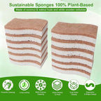 Sponges Kitchen – 12-Pack, Natural sponges - Image 6
