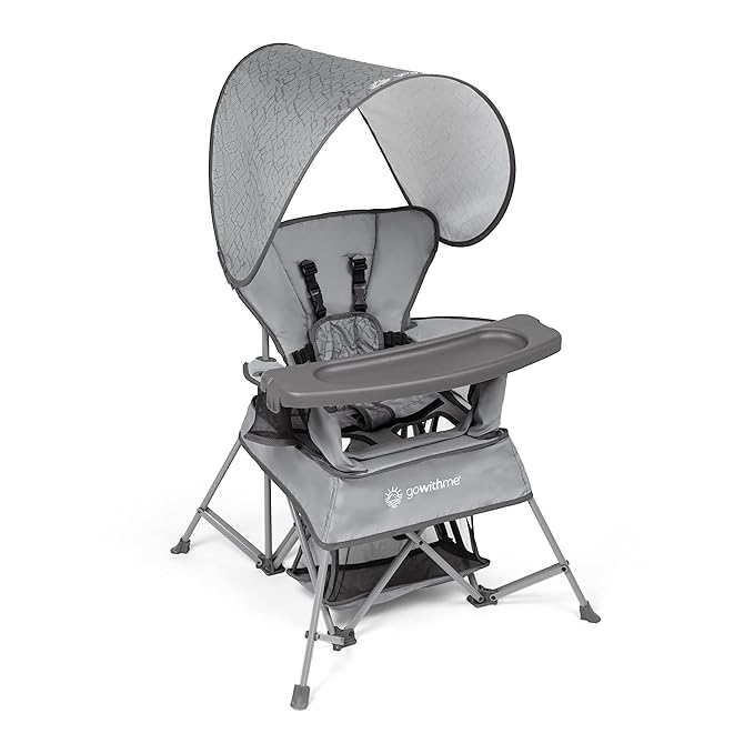 Baby Delight Go with Me Venture Portable Chair | Indoor and Outdoor | Sun Canopy | 3 Child Growth Stages | Elephant Grey by BabyDelight