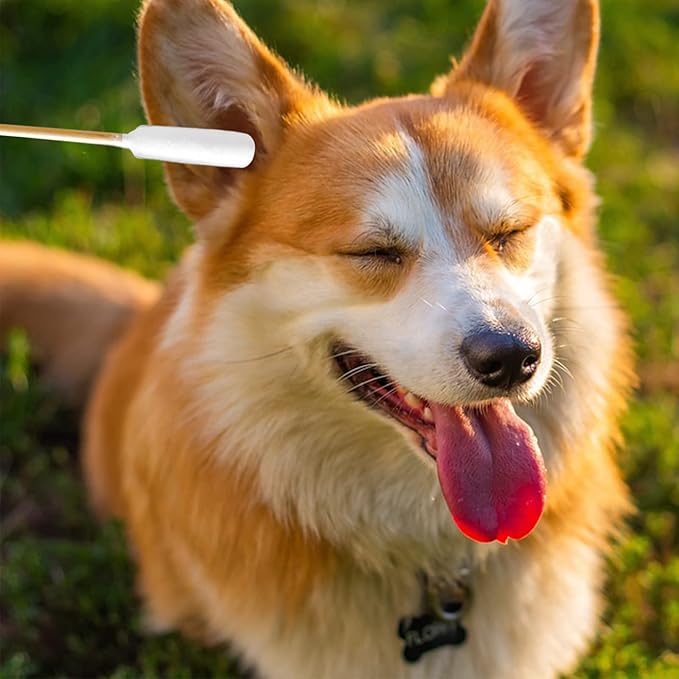 6 Inch Long Cotton Swabs for Dogs ，Cat，Small Pet Ears Cleaning, Pet Cotton Ear - Image 6