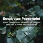 ROSE COTTAGE Large 12 Packs Eucalyptus Peppermint Hanging Closet Air Freshener - Image 7