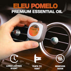 Air Jungles Eleu Pomelo Scent Car Air Freshener Clip, 6 Vent Clips, 4 ml Each - Image 2