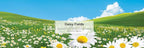 LITTLE TREES 076171673473 Daisy Fields Hanging Paper Tree - Image 5
