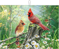 Red Bird Dish Drying Mats for Kitchen Counter, Absorbent Reversible Microfiber by Unknown