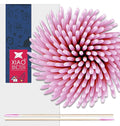 1000PCS Pointed Cotton Swabs by XIAOXINGYUN