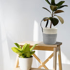 Cotton Rope Hanging Baskets for Organizing 2 Pcs Round Small Wall Basket - Image 8