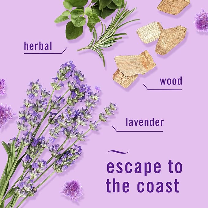Febreze Plug in Air Fresheners, Mediterranean Lavender, Odor Eliminator - Image 3