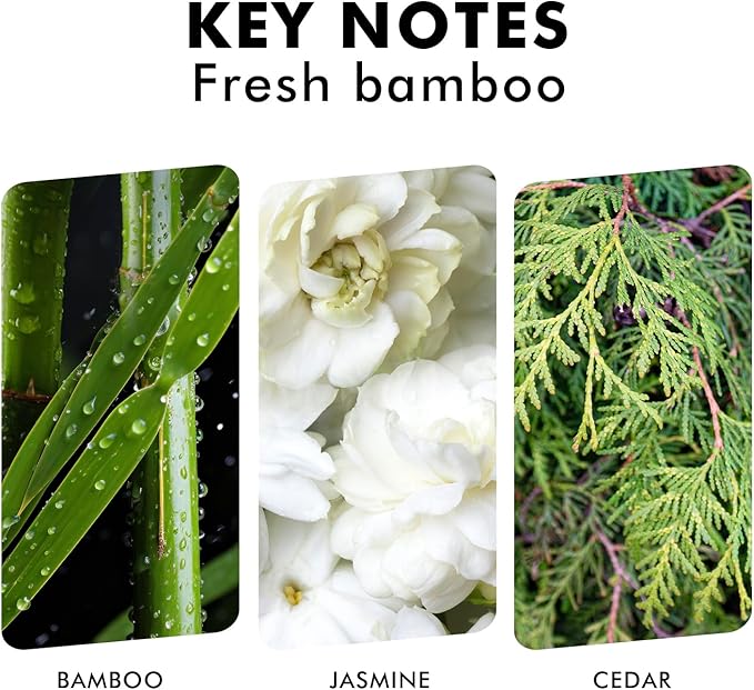 Reed Diffuser, Fresh Bamboo Scented Diffuser - Image 3