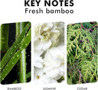 Reed Diffuser, Fresh Bamboo Scented Diffuser - Image 3