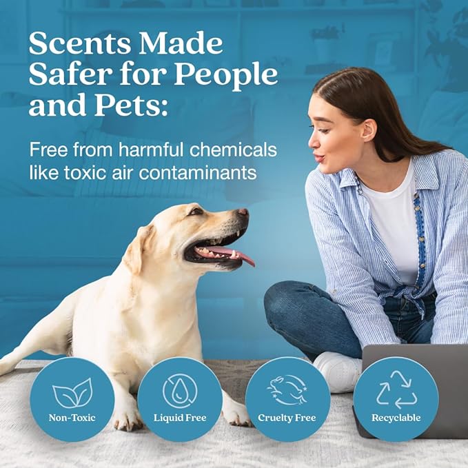 Enviroscent Non-Toxic Air Freshener Paper Refills - Image 2