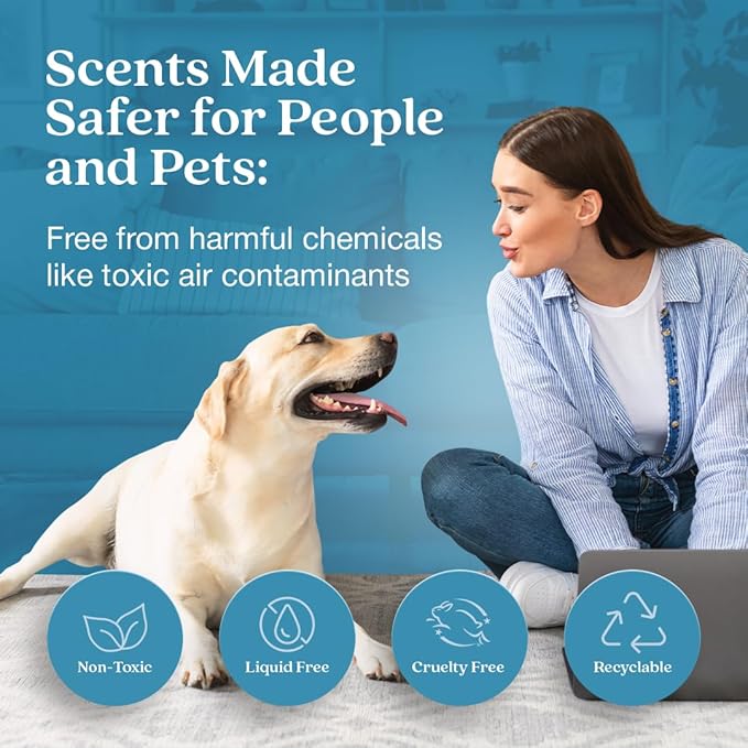 Enviroscent Non-Toxic Air Freshener Paper Refills - Image 2