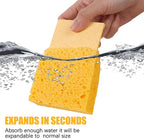Kitchen Sponges, 12-Count Cellulose Sponges, Durable Dish Sponge - Image 3