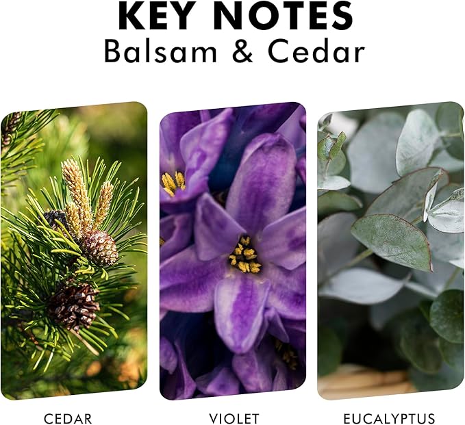 Reed Diffusers for Home, Balsam & Cedar Diffuser - Image 4
