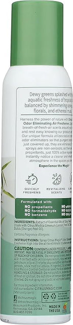 Citrus Magic Odor Eliminating Air Freshener Spray, Bamboo Rainforest - Image 4