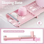 TOOLF Small Dish Drying Rack, Mini Expandable Compact Dish Rack, Slim - Image 5