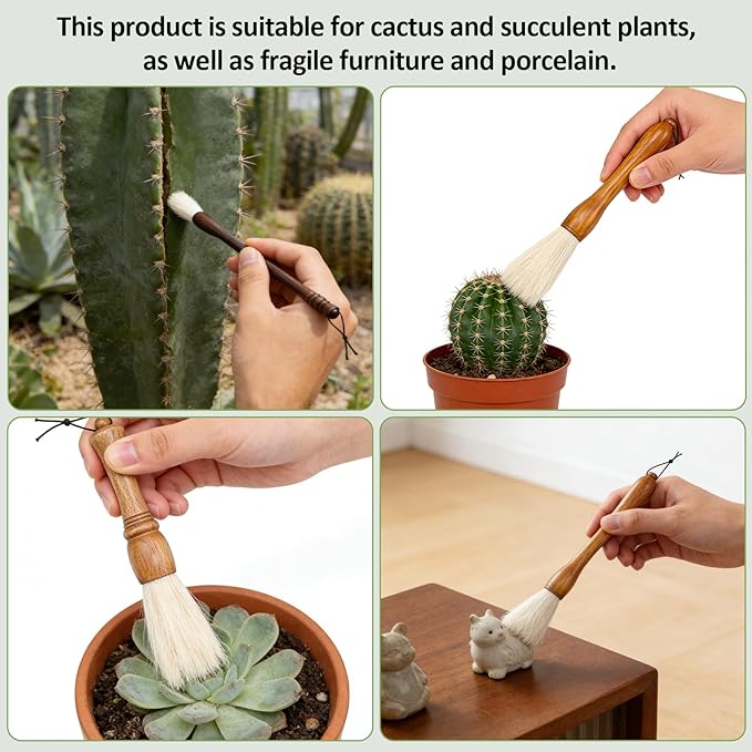 Cactus Plants Cleaning Brushes, Wooden Handles - Image 3