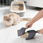 THINKLEARN 2PCS Small Dust Pan and Brush Set, Mini Broom and Dustpan Set - Image 9