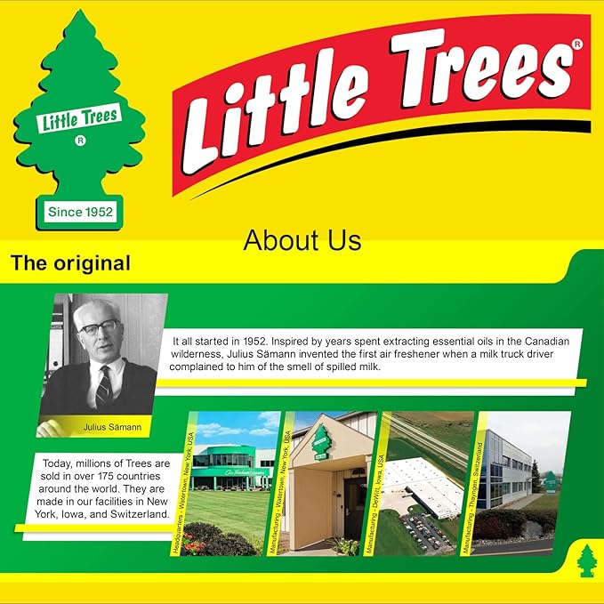 Little Trees Car Air Freshener | Hanging Paper Tree - Image 7