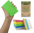 Compressed Cellulose Sponges by Airnex
