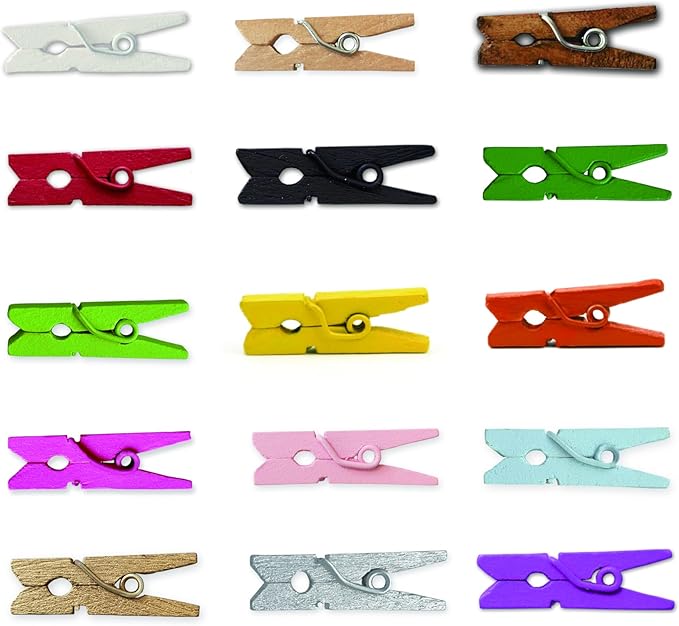 LWR CRAFTS Wooden Mini Clothespins 15 Colors 100 Per Pack 1" 2.5cm by LWR+CRAFTS