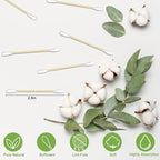 Eyxformula 1000 Count Wooden Cotton Swabs, Sustainable Bamboo Sticks & Soft Tips - Image 2