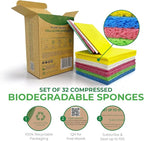 Compressed Cellulose Sponges - Image 2