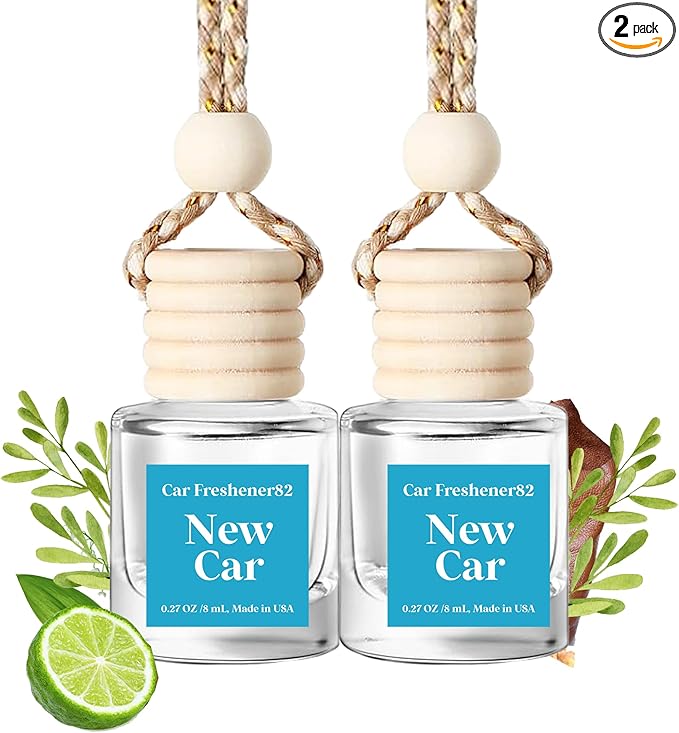 Car Air Freshener Hanging, Cute Air Diffuser, Long Lasting Car Fresheners by BurstBird
