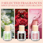 6 Pack Car Air Freshener, Long Lasting Natural Essential Oil Fragrance Diffuser - Image 4