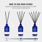July Cotton Reed Diffuser Set, 3.7 Oz Aromatherapy Scented Oil Diffuser Sticks - Image 4
