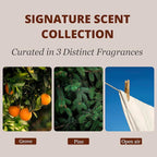 Car Air Freshener - Image 3