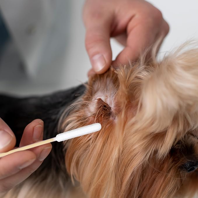 Long Cotton Swab for Dogs Ears, Wound Care, Tear Stain Removal - Image 4