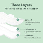 Rael Pads for Women, Organic Cotton Cover - Image 3