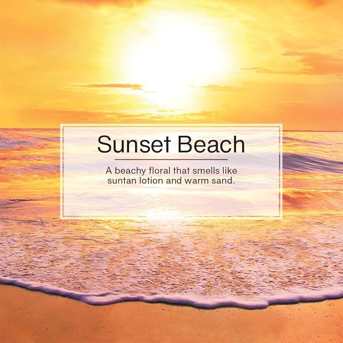 Little Trees Car Air Freshener 6-Pack - Image 3