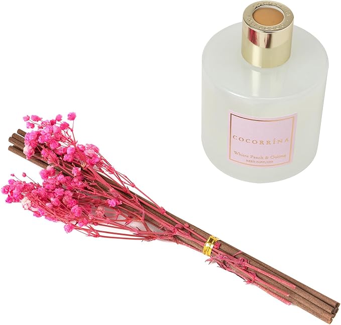 Cocorrína Reed Diffuser Set - Image 3