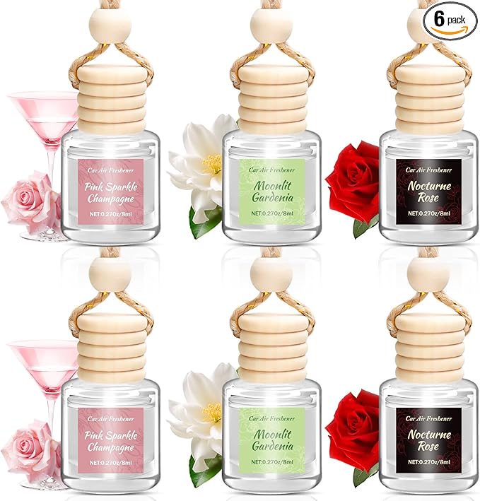 6 Pack Car Air Freshener, Long Lasting Natural Essential Oil Fragrance Diffuser by Unknown